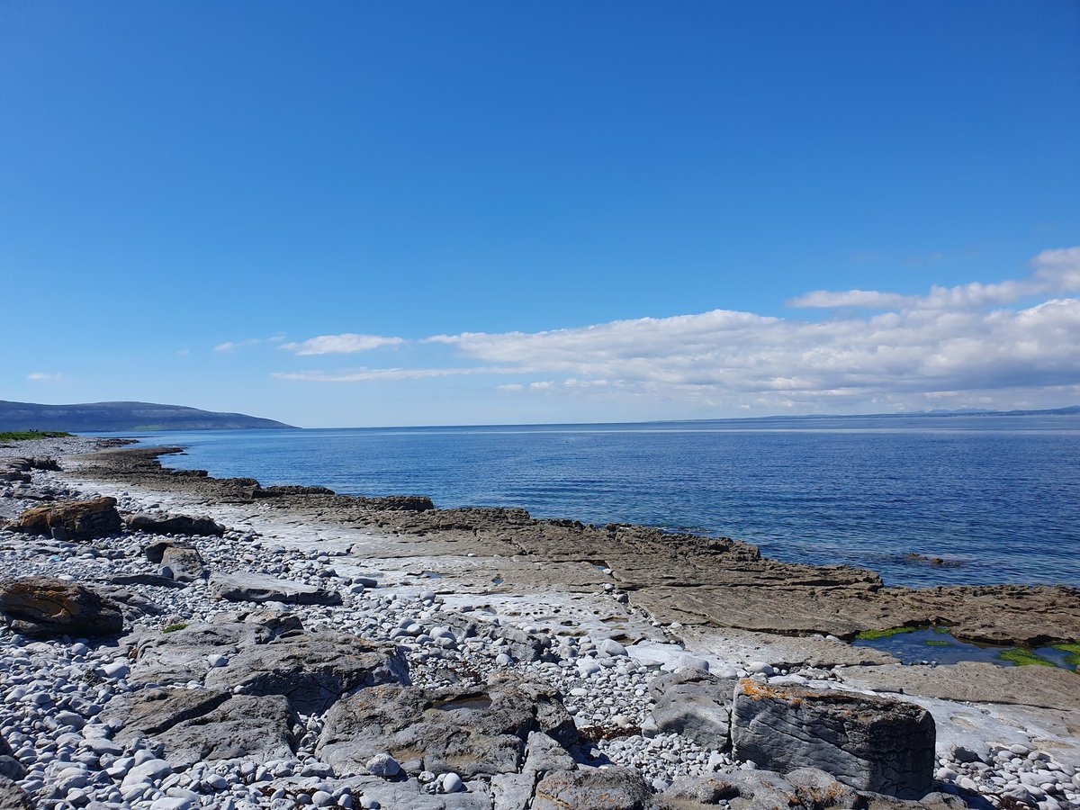 Arlene Harris tweet media