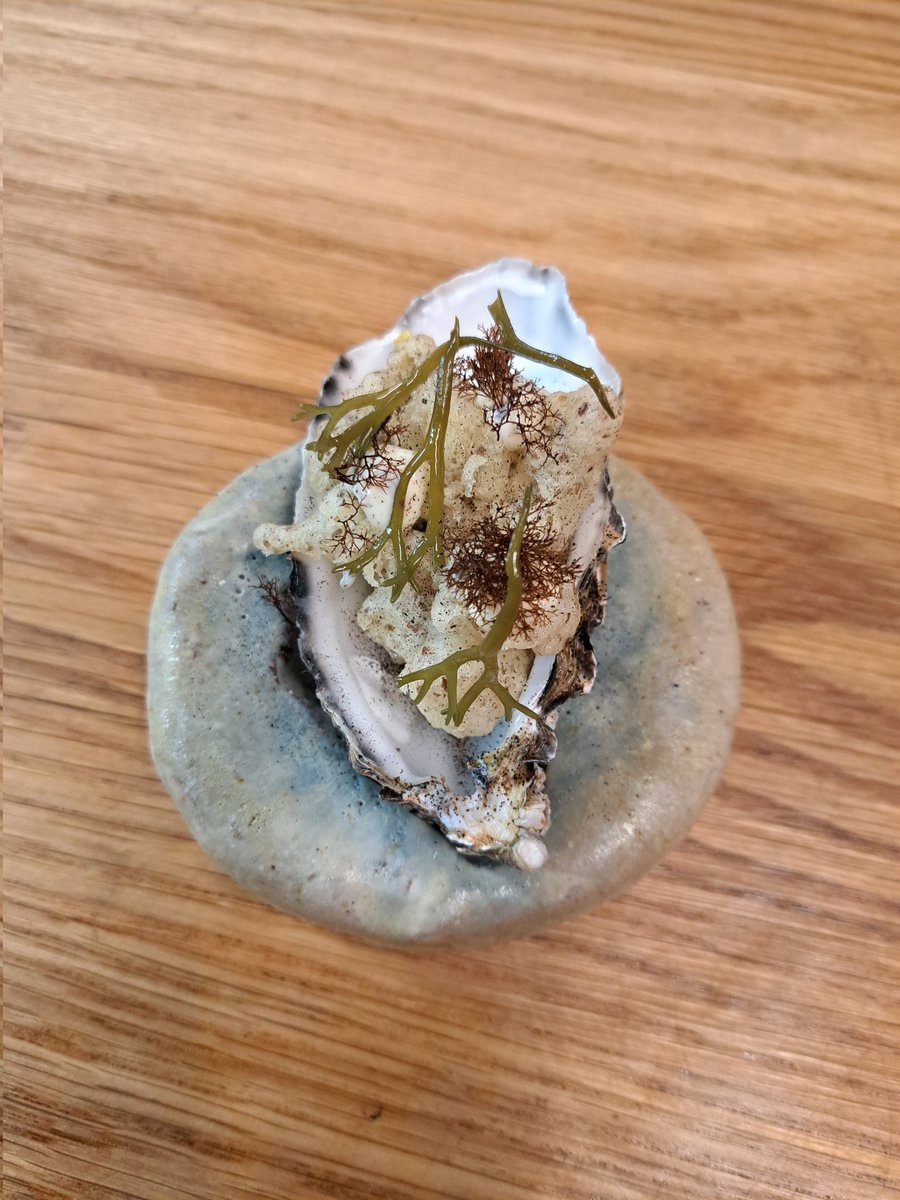 <a href="/CarlingfordOyst/">Carlingford Oysters</a> tempura, oyster emulsion, sea truffle, pickled channelled wrack. From our pop up oyster bar @aniargalway today as part of <a href="/blasnagaillimhe/">A Taste of Galway</a> month of food <a href="/galwayswestend/">Galway's Westend</a> 3-8pm.