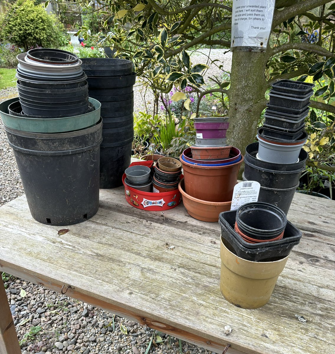 99 assorted pots appeared whilst I was out. Thank you.