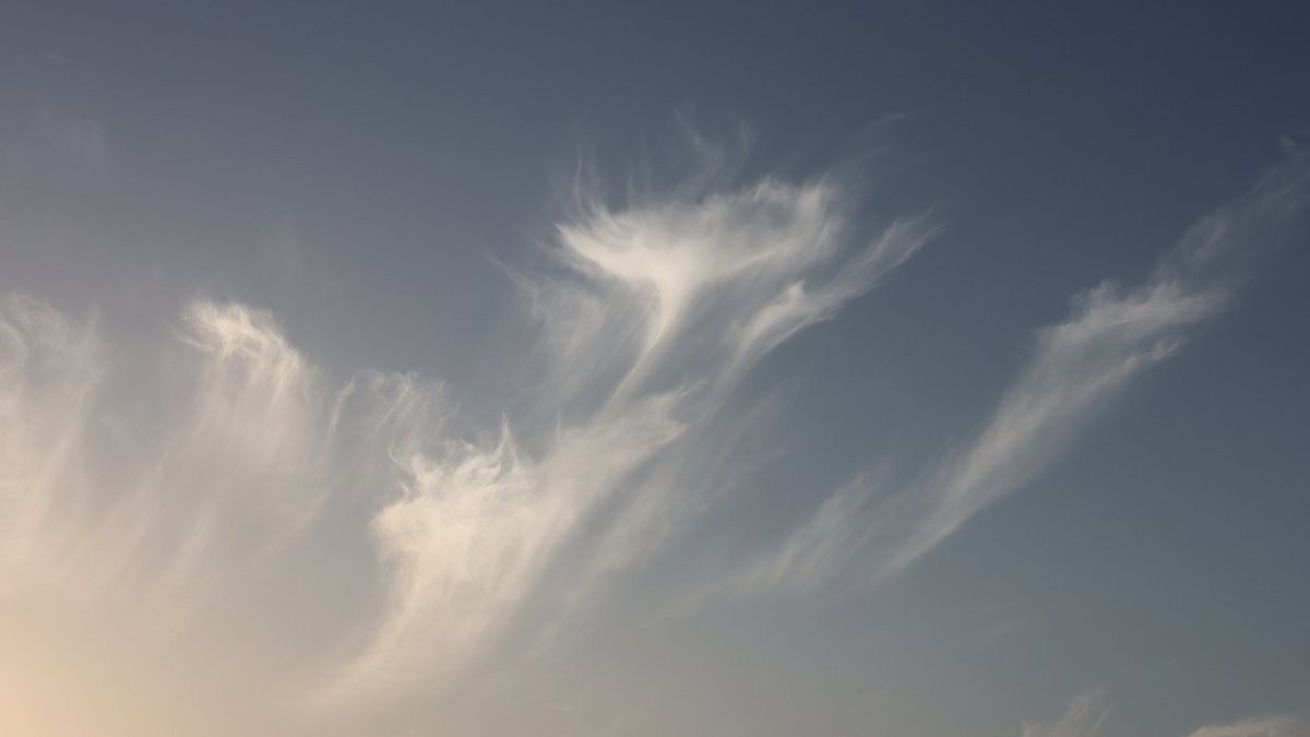 夕方の巻雲（すじぐも）が きれいだったよ٩( ๑╹ ꇴ╹)۶🌤️ ただ、こういうのが出てきたときは、 天気変わり目のサインだけど…😅💦 #イマソラ