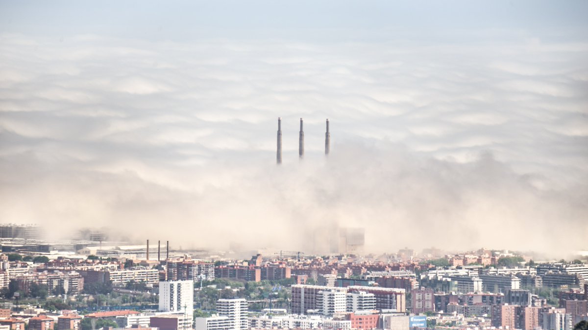 alfons_pc's tweet image. Un banco de #stratus bajos ha fregado la costa central de #Barcelona hoy al mediodía. Así se veían desde el #obsFabra @RACABarcelona @AEMET_Cat @meteocat @btveltemps @eltempsTV3 @ARAmeteo @tempsdemeteo @lasextameteo @ElTiempoes @AsEcometta @CloudAppSoc