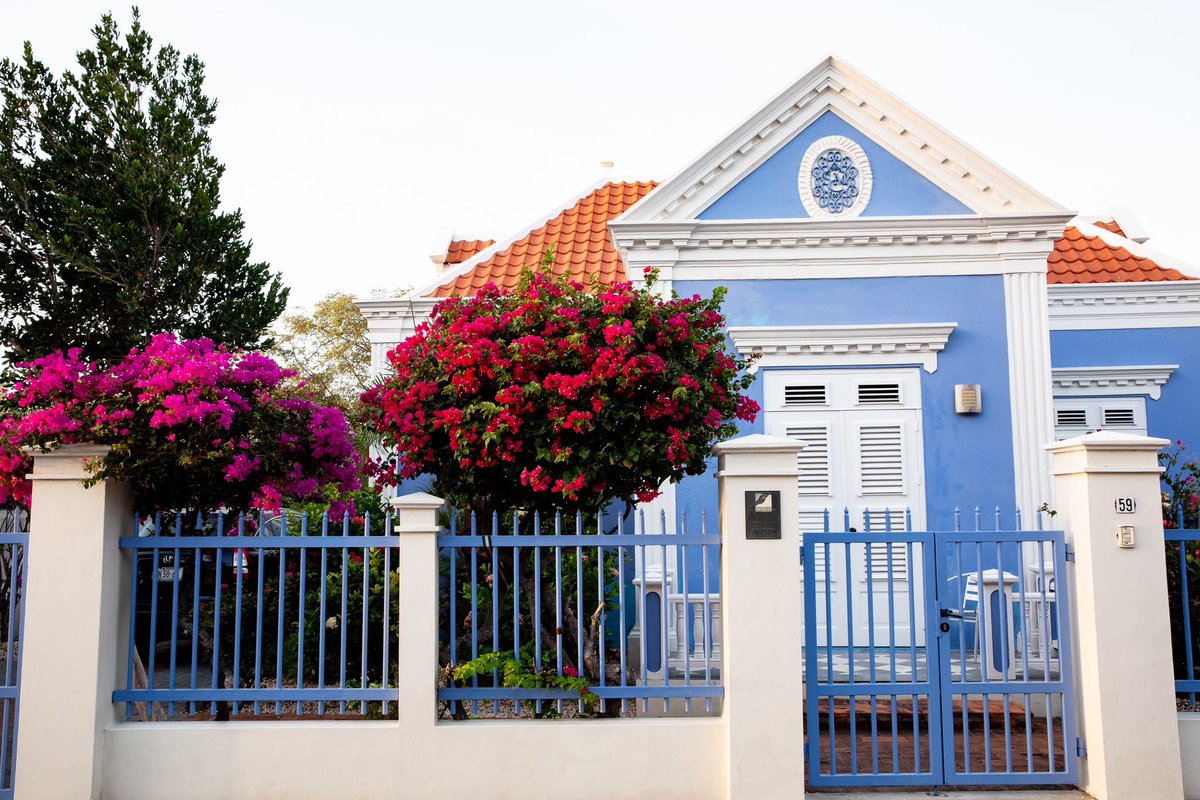 Explore Willemstad and allow yourself to be immersed in its uniqueness!