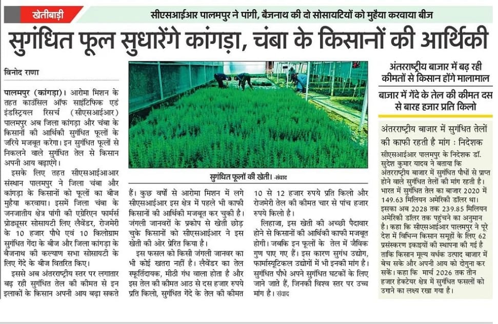 Press media coverage of CSIR-IHBT initiatives under the Floriculture mission in the tribal region of aspirational district Chamba, HP for improving the condition of farmers financially.