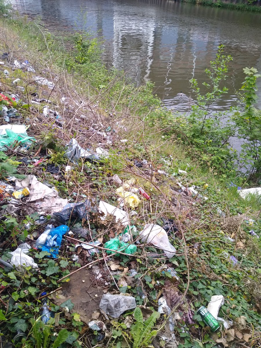 How is it possible for banks of #River Taff in #Cardiff the capital of #Wales to look like this the other day? All that #plastic and #litter will end up in #ocean eventually. We need to show our #rivers more love. Urgent cleanup needed and a #plasticfree future for #Wales needed.