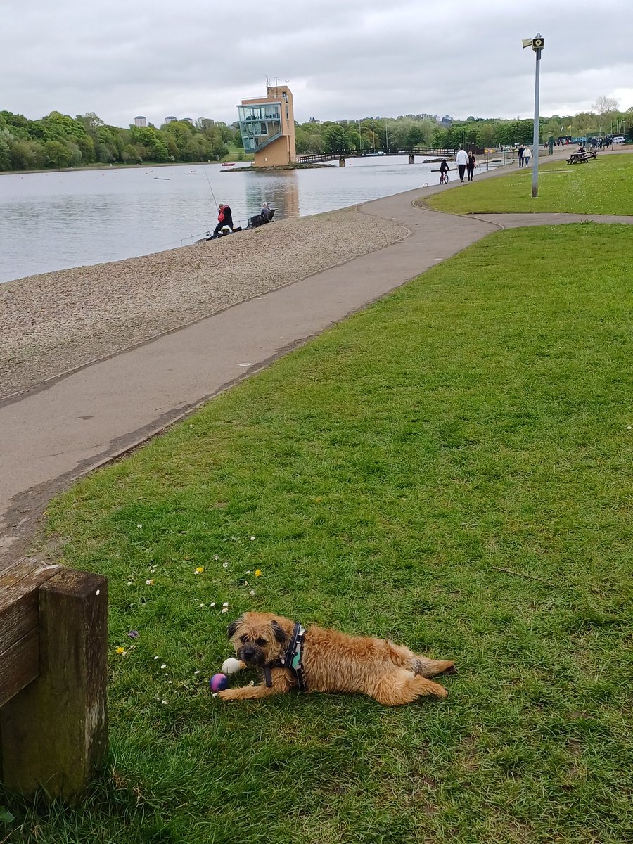 Hello from Strathclyde Country Park. I've been in the Loch and swum. This is a good long walk, but Mummy says the noisy motorway spoils it.