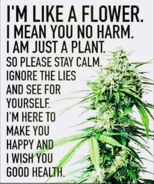 Amen! Beautiful poem about our favorite plant!! #Cannabis #LegalizeIt #CannabisCommunity #Mmemberville