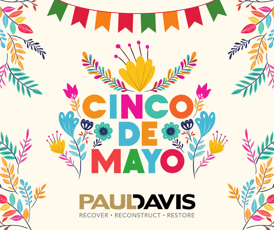 Happy Cinco de Mayo from your friends at Paul Davis! 🇲🇽🎉

#PaulDavisofBowlingGreen #PaulDavis #BowlingGreen #LocallyOwned #CincodeMayo #SOKY