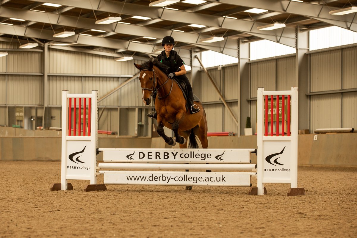 Broomfield Hall's state-of-the-art equestrian centre and beautiful surroundings are the best place to be if yyou're interested in pursuing a career in horse-riding, horse care or other vocations in the equestrian industry 🐴 orlo.uk/WKBmJ