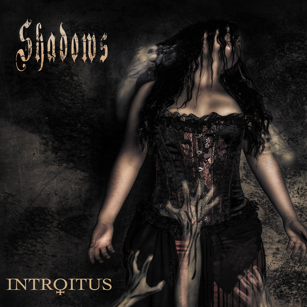 NP: Swedish band Introitus released four Neo-Prog albums between 2007-2019, and all are worth a listen (Shadows is available on bandcamp for 5 bucks)!
#NowPlaying #NeoProg #ProgRock