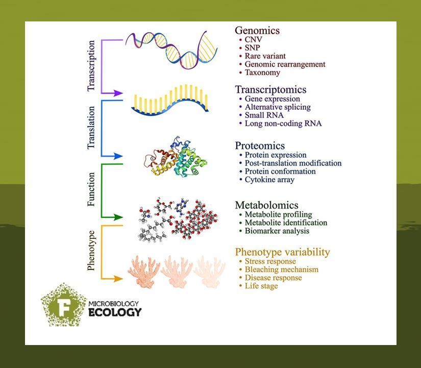 A complete set of omics approaches to reveal the metabolic activity of the coral holobiont!
#FEMSMicrobiolEcol
academic.oup.com/femsec/article…