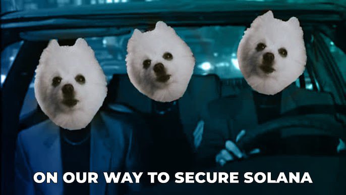 Network is secured by BORK 🐾