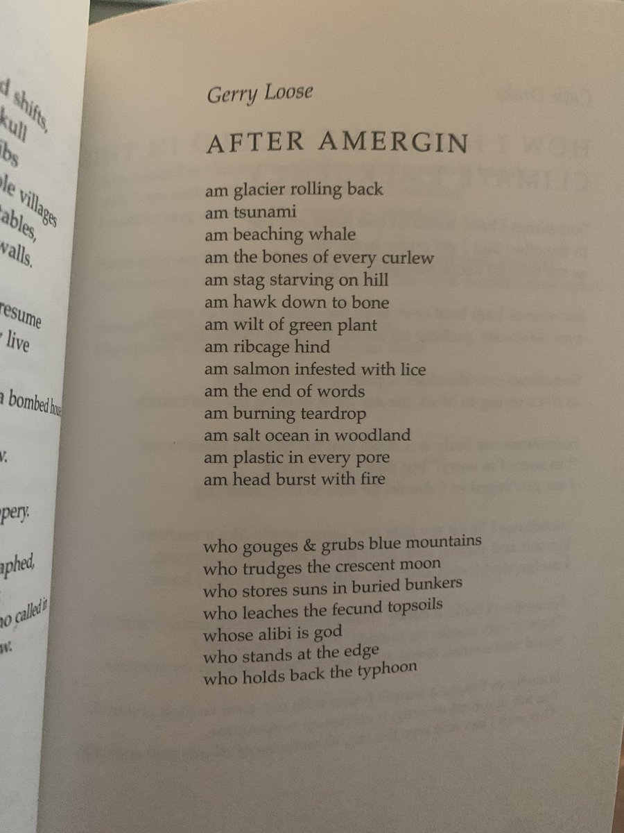 Zoë Brigley tweet media