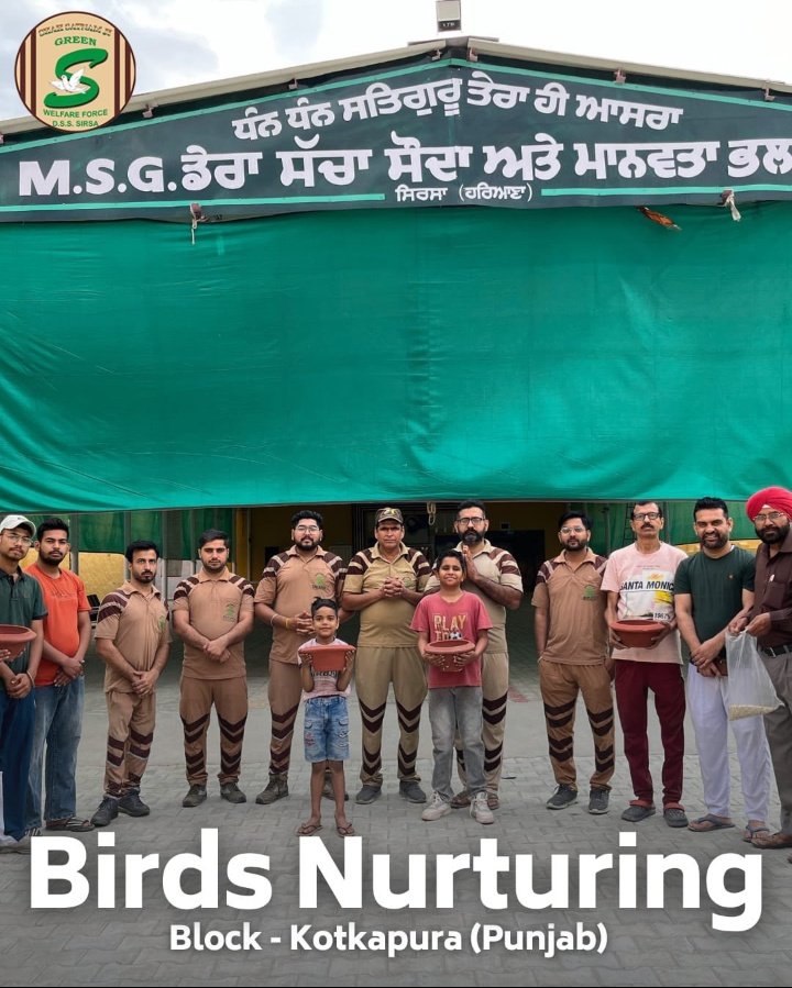 Isn't that chirping sound of Birds attract you in the morning. It does na,that's why Saint Ram Rahim Ji urges people to Save Birds by doing #BirdsNurturing initiative By feeding them regularly with proper fodder and water will give them a nourished life