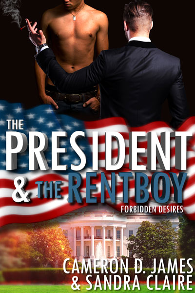 The President of the United States of America has a secret... sandraclaireerotica.wordpress.com/2017/02/07/the… #gayerotica #SSRTG