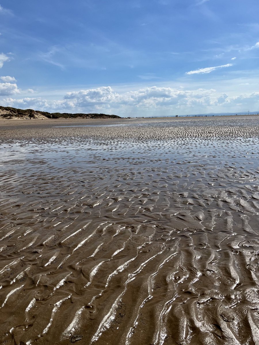 Jenlawconsulti1's tweet image. Bright in #Formby ⁦today ⁦@StormHour⁩ ⁦@ThePhotoHour⁩ #landscape