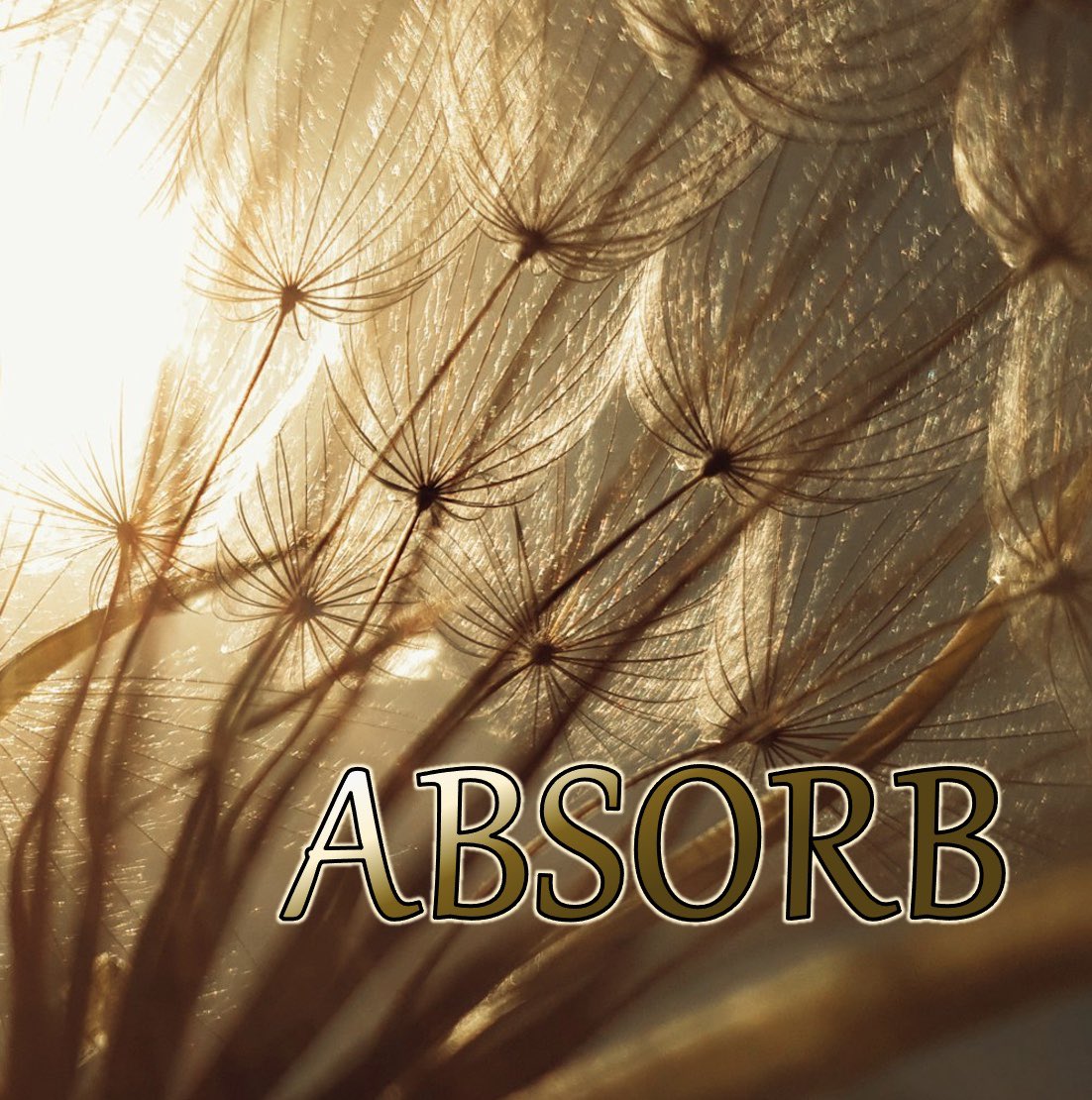 #SymphAndJules word of the day: Absorb

Don't forget to @ us in your posts, and we'll re-tweet! 💛📷

#WritingPrompts