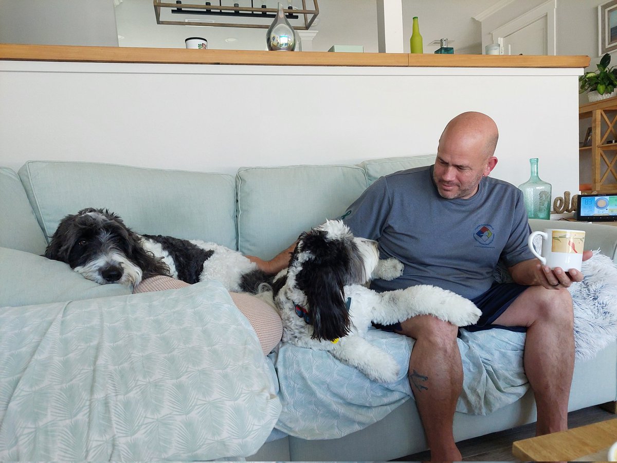 Sunday snuggles with dad 🥰 #SundayMorning #dogsoftwitter #DogsOfX