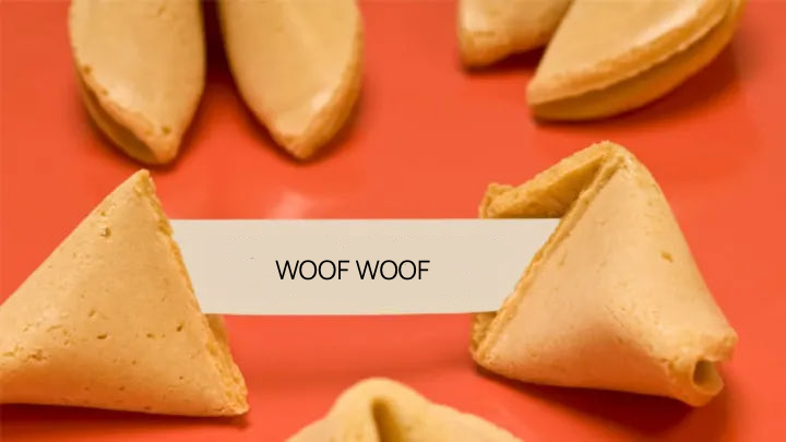 What does your fortune cookie say?