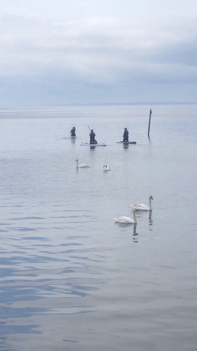 I spent the morning with the RCM Northern Branch litter picking and paddle boarding on the shore of Lough Neagh in Antrim. Great way to celebrate IDM and its theme Midwives: a vital climate solution. #midwives #IDM2024 #midwifery @RcmNi @BossGSD