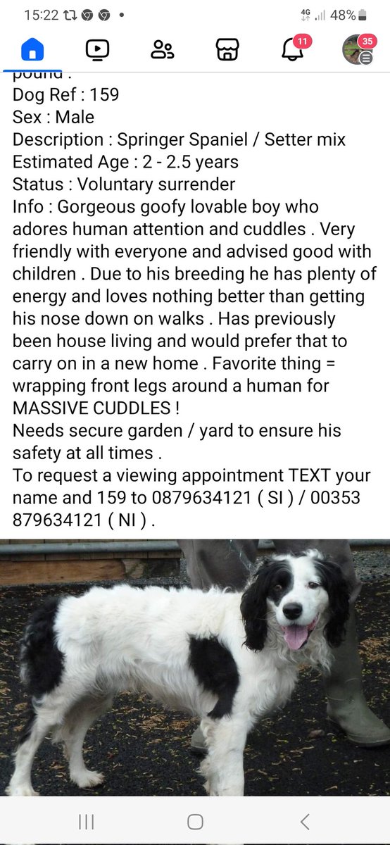 catlowry54's tweet photo. Please share #MonaghanPound https://t.co/NwVXWHFRTx