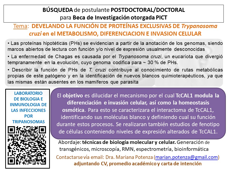 InTryps's tweet image. El laboratorio busca nuevos integrantes! Se agradece RT! Búsqueda de postulantes para beca POSDOCTORAL o DOCTORAL asignada por PICT. Inicio aproximado de la beca, agosto 2024.