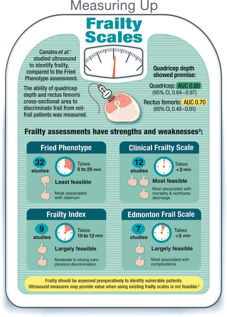 Infographic in #Anesthesiology - Measuring Up: Frailty Scales 🎨 ow.ly/krQk50RvcjE