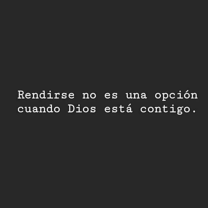 Bibliaenlinea's tweet photo. https://t.co/GTwHkecemc