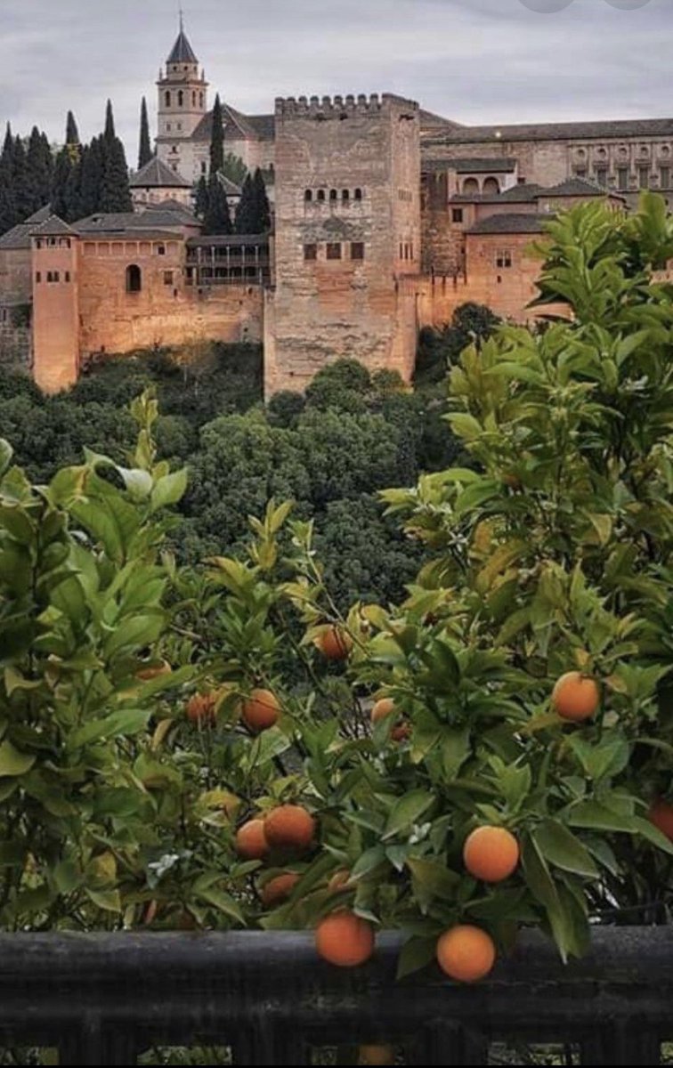 L'Alhambra (de l'arabe Al-Hamrâ) de Grenade en Andalousie est un ensemble palatial constituant l'un des monuments majeurs de l'architecture arabo-musulmane. 
Acropole médiévale la plus majestueuse du monde méditerranéen 🤩🤩