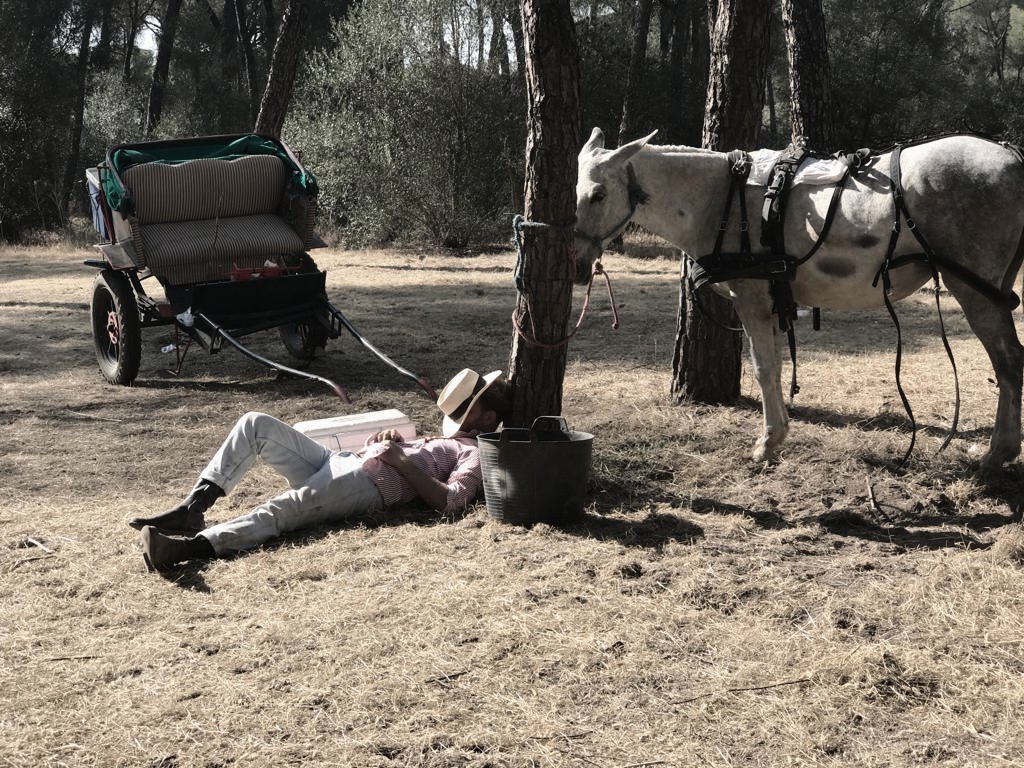 CON LOS BOTOS BIEN CEÑIOS

SOBRE UNA MANTA HE DORMIO

DEBAJO DE GRANDES PINOS

PISADA POLVO Y GENTIO

ES MI CAMINO.