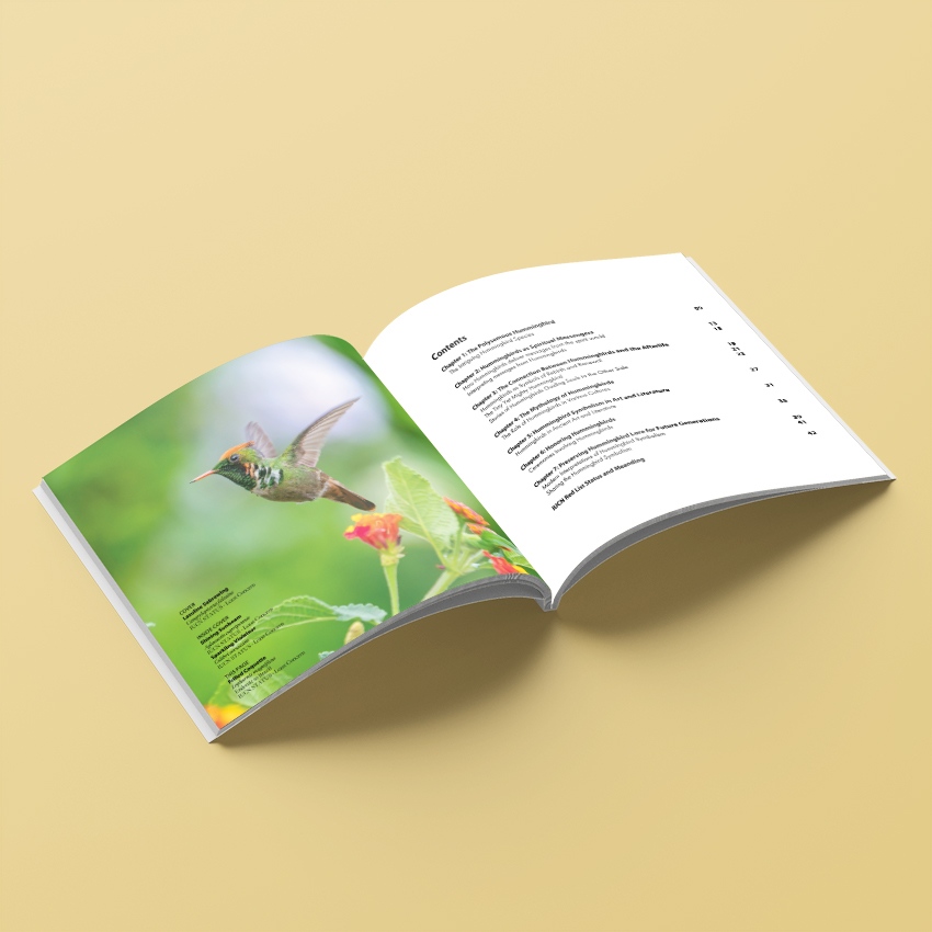 I present my second book, 'Loved Ones in Flight: Our Connection to Hummingbirds.' It is a heartfelt tribute to his cherished grandparents, Rosie and Charlie, Nada and Frank. Together, they cherished a deep affection for hummingbirds. A common theme emerged throughout Anthony's...