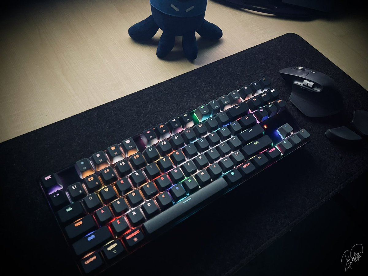 If you are someone who spends a lot of time in front of your computer, go get yourself a Keychron Keyboard. You won’t regret.