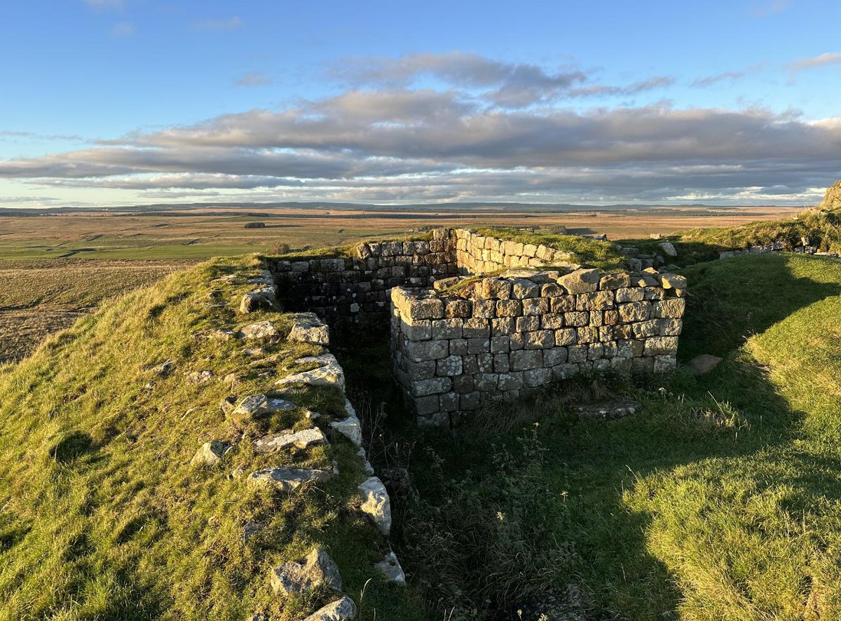 After Sycamore Gap, there is a vacancy for an iconic view on Hadrian’s Wall — and an appeal has pulled in a pile of favourites. @Hendrover sifts through a few ➡️ theqt.online/filling-the-ga…