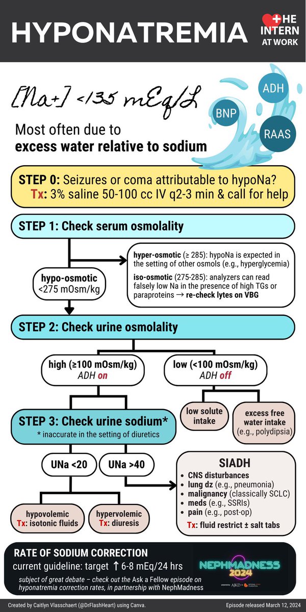 🔴 Approach to the management of Hyponatremia

@InternAtWork
 #MedstudentTwitter #CardioTwitter #FOAMed #MedEd #CardioEd #Cardiology #FOAMed #meded #MedEd #Cardiology #CardioTwitter #cardiotwitter #cardiotwiteros #CardioEd #MedTwitter #MedX #cardiovascular #medtwitter #FOAMed