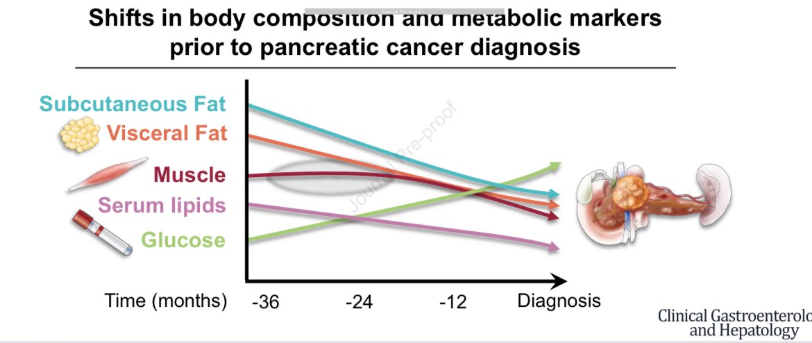 #OpenAccess study in @AGA_CGH from @MayoClinic (long 🐥): Temporal Trends in Body Composition and Metabolic Markers Prior to Diagnosis of #PancreaticCancer cghjournal.org/article/S1542-… Changes in visceral and subcutaneous adipose tissues (VAT/SAT) can be observed as early as 36