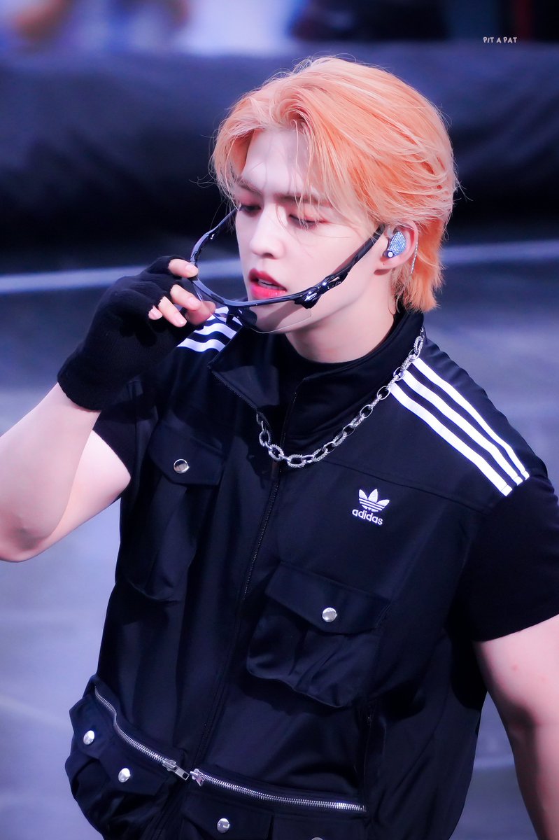 Pit a pat tweet media