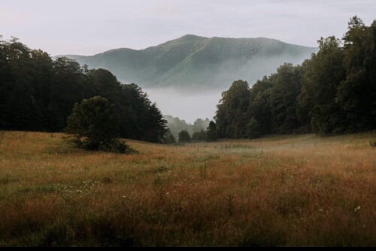 Good morning Appalachia-from the Moonshine Capital