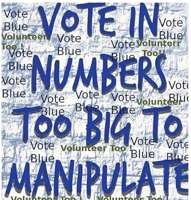 #BlueWave2024 #WeWillNeverForget #WeWillNeverForget #BlueWave2024 #BlueWave2024 #WeWillNeverForget 

Every #Election for #PoliticalOffices in this country is decided by the #PopularVote.