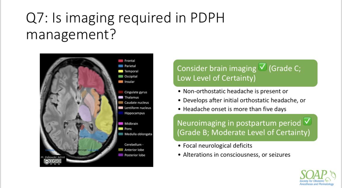 @NarouzeMD What procedural interventions may be used in #PDPH? Greater Occipital Nerve Block (GONB) has a moderate level of evidence. Fibrin glue may have a place. Is imaging required? Context specific! Especially if focal signs or changed level of consciousness. #SOAPAM2024 #OBAnes