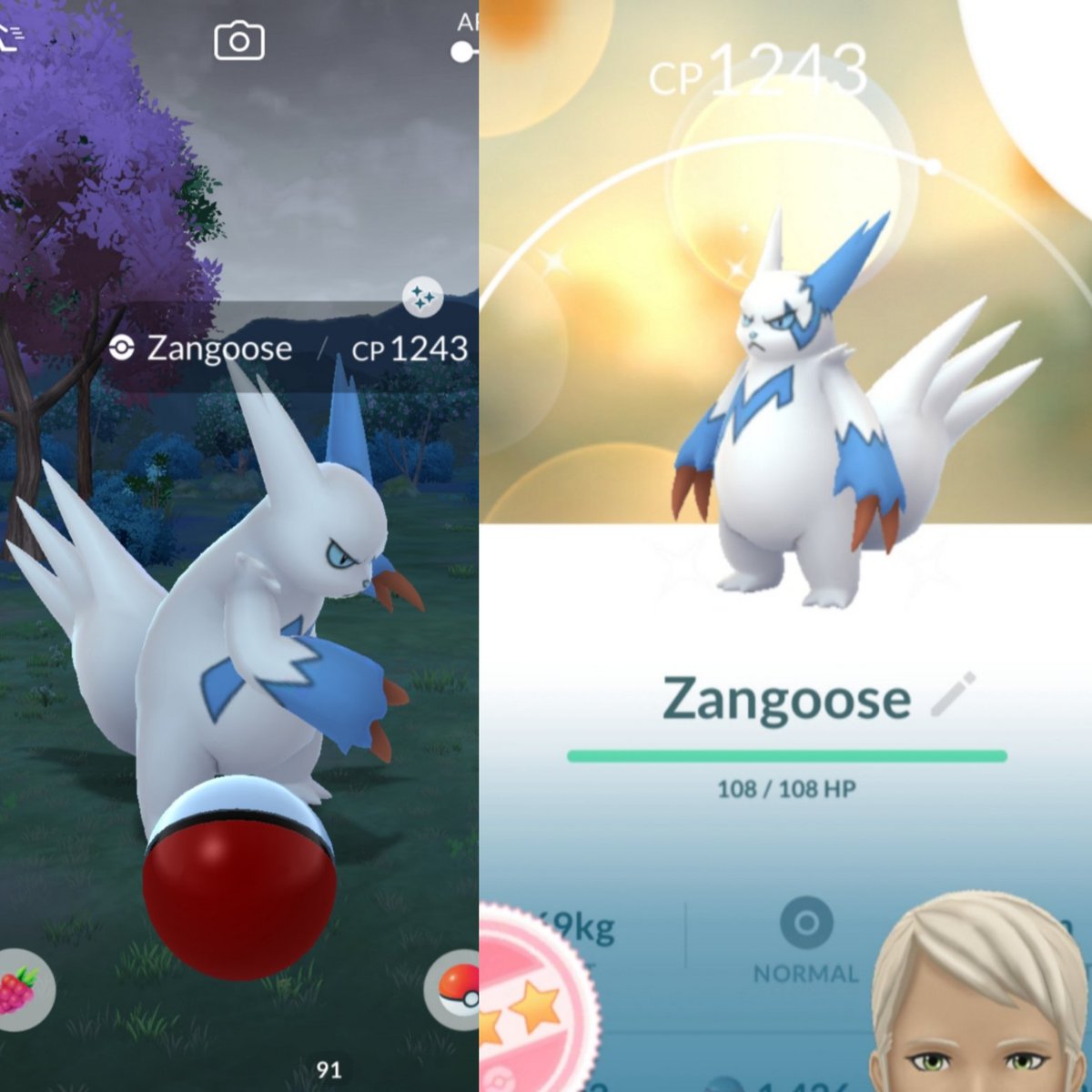 Shiny Zangoose 
#shiny #shinypokemon #PokemonGOApp #PokemonGO #pokemon #pokedex #shinyCheck #pokemongofriends #PokemonGOCommunityDay #PokemonGOApp #SinnohTour #PokemonDay