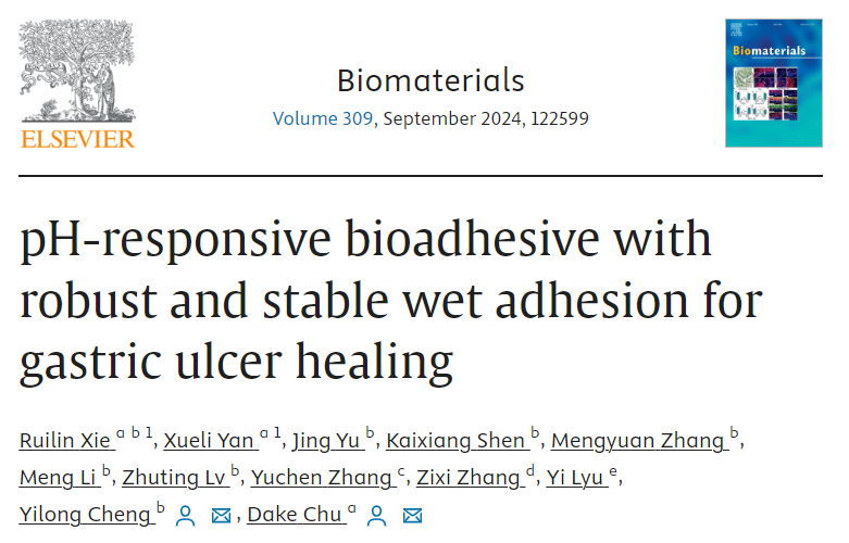 New @Biomaterials_: pH-Responsive bioadhesives can accelerate the healing of ulcers by inhibiting inflammation and promoting capillary formation in the acetic acid-induced gastric ulcer model in rats. doi.org/10.1016/j.biom…