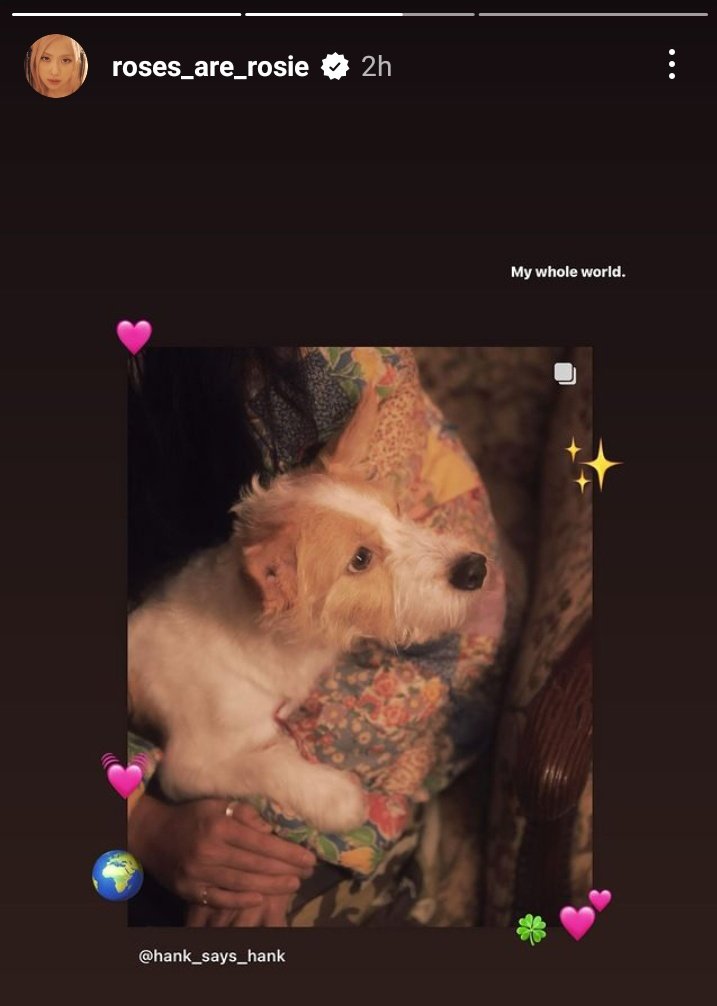 [24/05/05] Rosé 's IG story update with Hank: 'Happy birthday my handsome boy.' “My whole world.' 'You're handsome you're handsome~ 🎶 hahaha' HAPPY BIRTHDAY HANK #HappyHankDay #AdoptDontShop #ROSÉ #로제