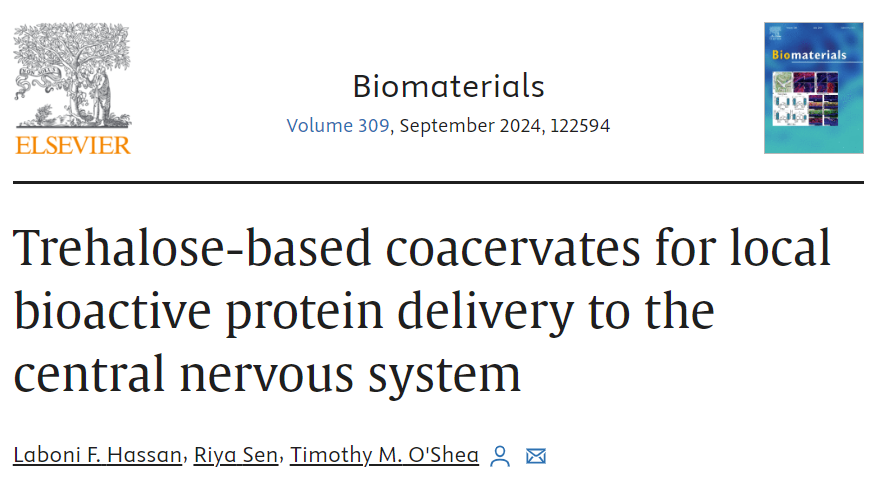 New @Biomaterials_: Coacervates serve as effective vehicles for precisely delivering biomolecules, including bioactive neurotrophins, to the mouse striatum following intraparenchymal injection. doi.org/10.1016/j.biom…