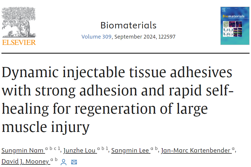 New <a href="/Biomaterials_/">Biomaterials</a>: A promising advancement for muscle regeneration! The injured muscles of mice treated with the adhesives displayed increased weight and higher force generation than comparative controls. <a href="/_SungminNam/">Sungmin Nam</a>   doi.org/10.1016/j.biom…