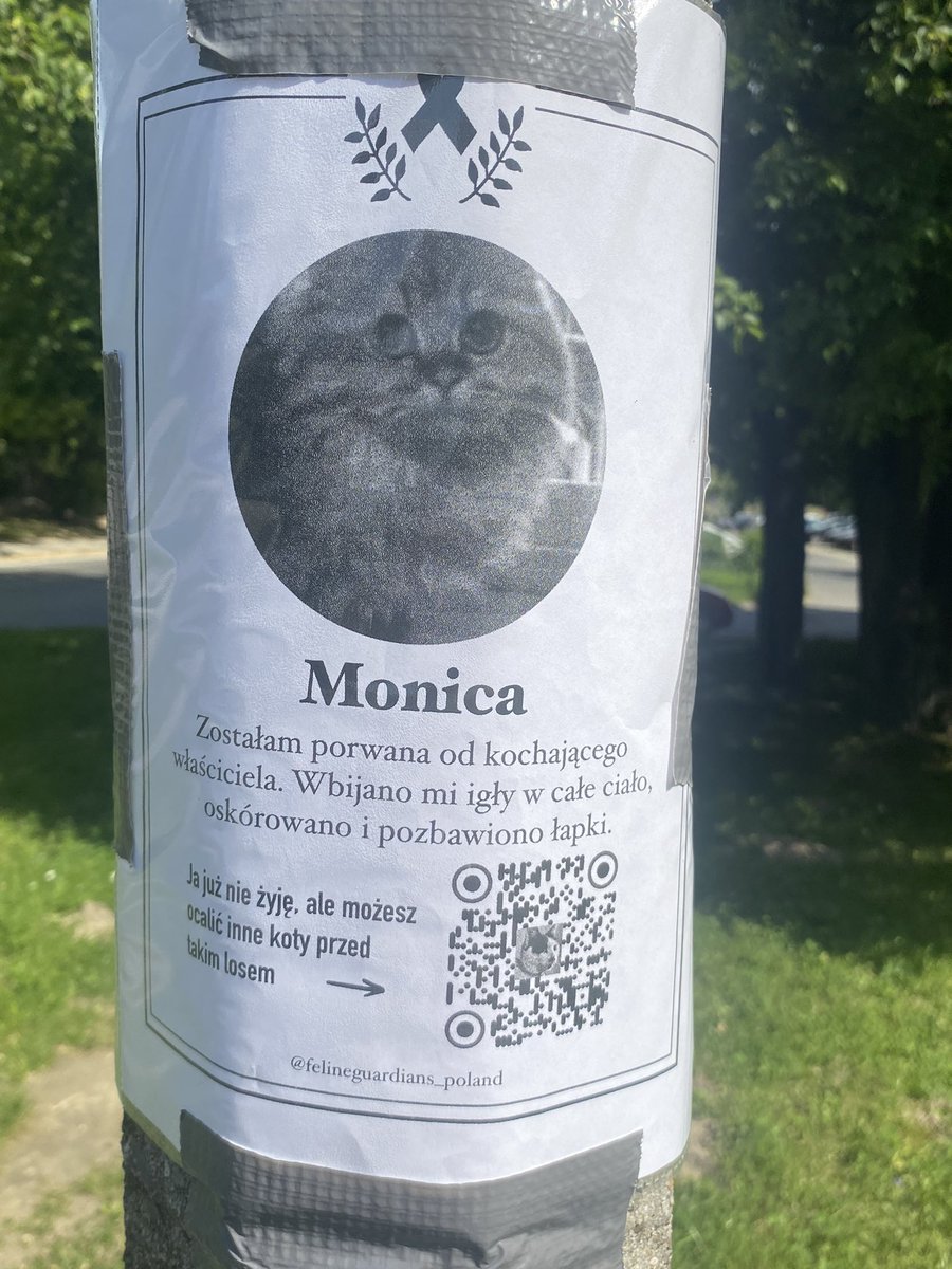 Girlwithbunny_'s tweet image. Rozwiesiliśmy wszystkie plakaty po centrum🥰🥰🥰