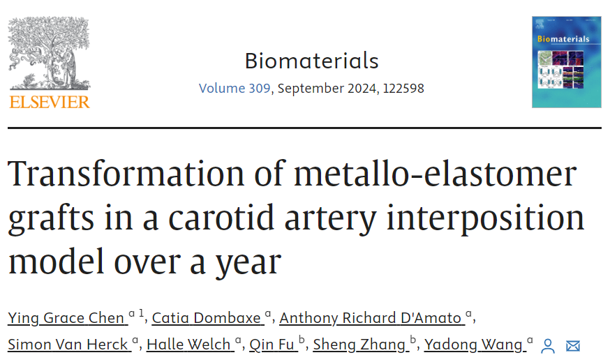 New @Biomaterials_: Cu-PAS as a promising material for engineering small blood vessels.