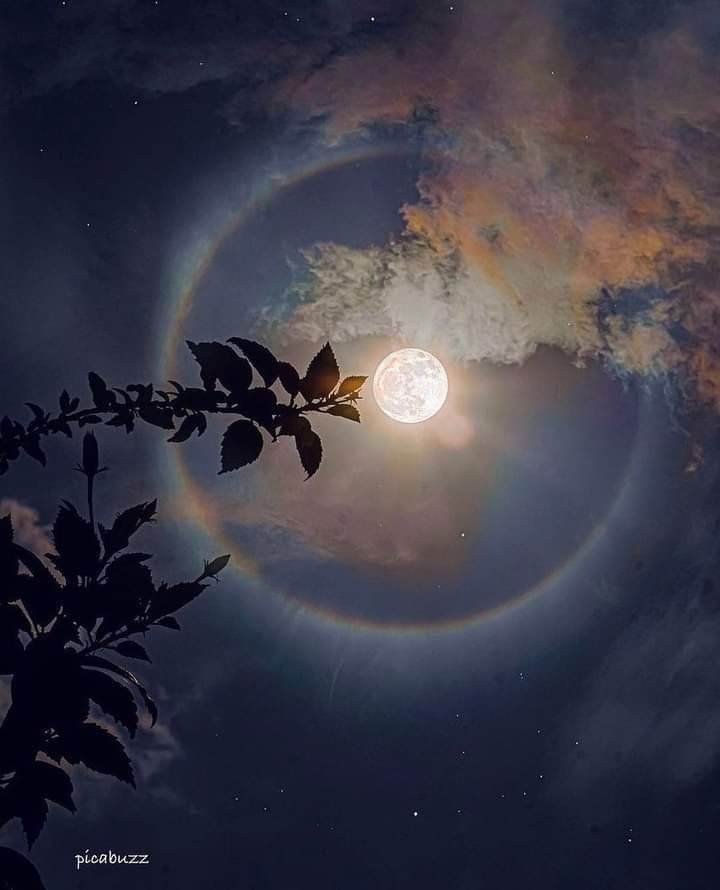 Séléné 🌕 tweet media