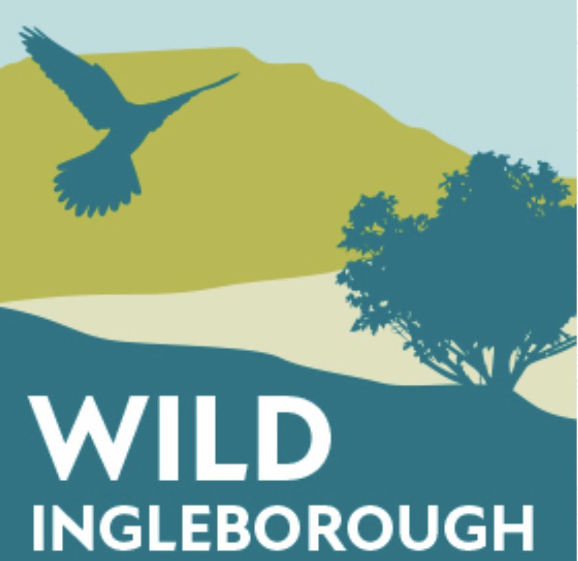 This project was funded by Wild Ingleborough: A vision for a wilder future, who are doing some amazing conservation work in the area, and encouraging diverse communities to access this beautiful part of the Yorkshire Dales.