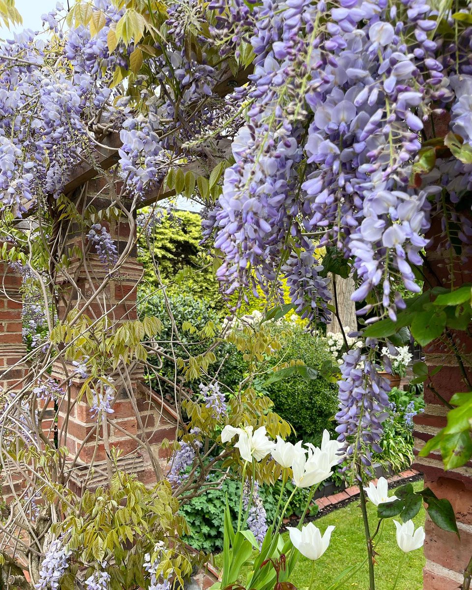Come and relax on the terrace of the Old Oak Cafe with a cuppa and cake as you take in the heavenly scent of wisteria - we can’t think of a better way to spend a bank holiday Monday 💜

#GreyfriarsNT #Worcester #WorcestershireHour #Wisteria #Spring #Gardens