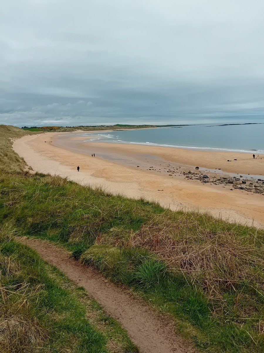 The usual crazy bank holiday weekend in Northumberland