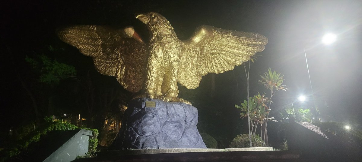 Epic eagel in Xalapa 🦅